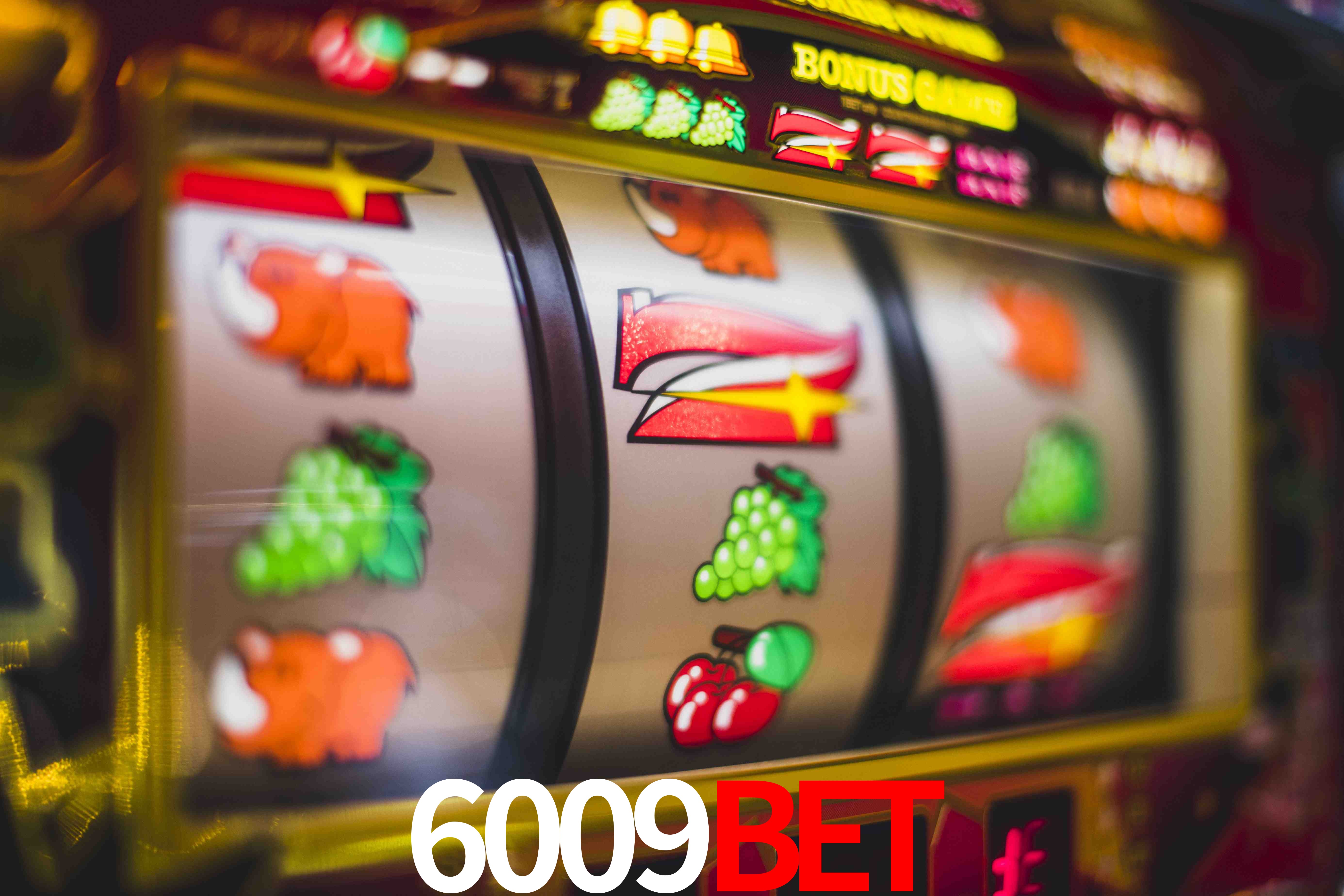 Statistics 6009bet